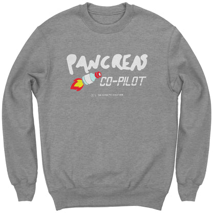 diabetes Pancreas CO-PILOT sports grey sweathshirt